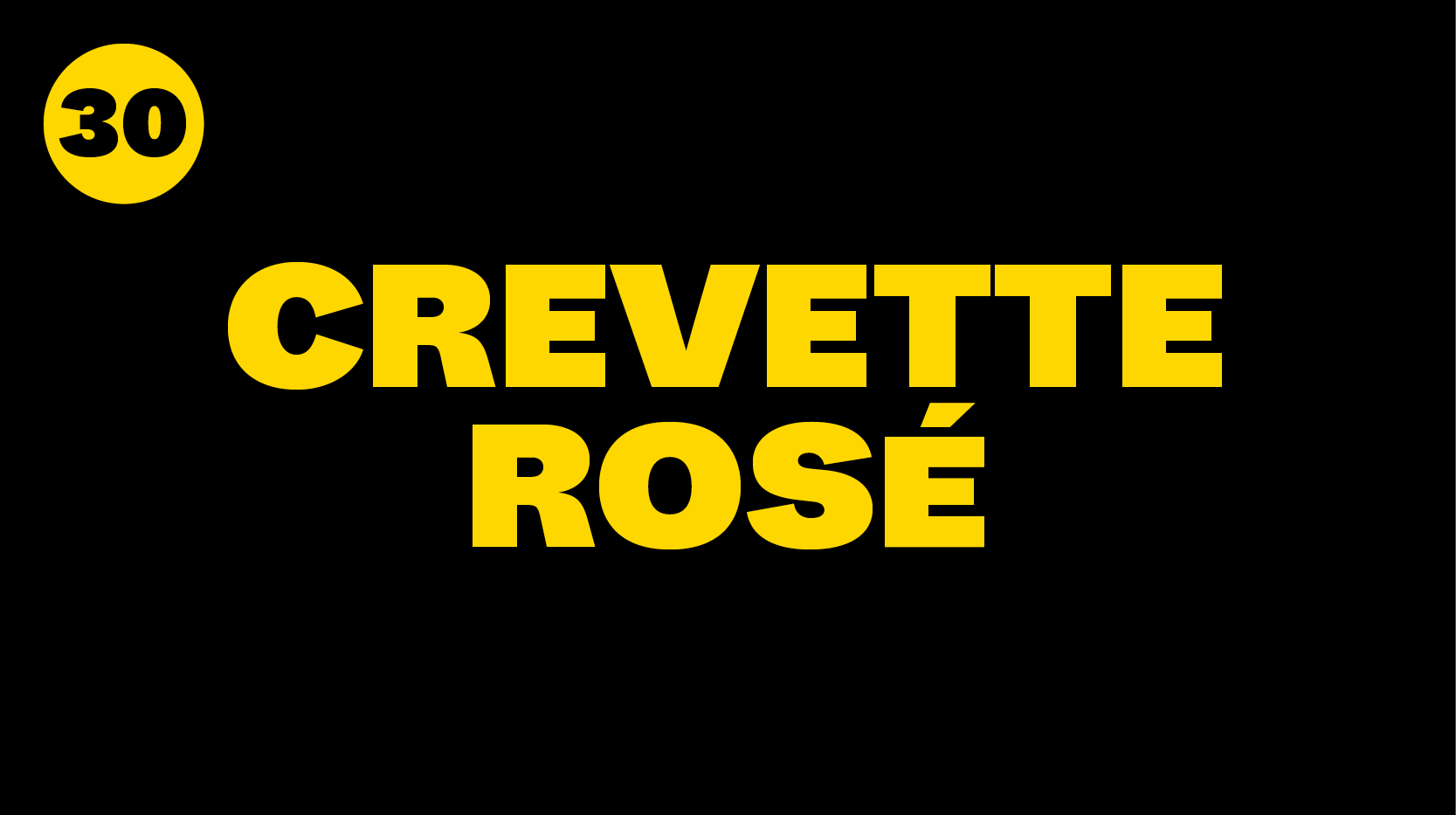 Crevette Rosé